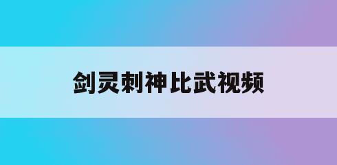 剑灵刺神比武视频_剑灵拳师输出手法